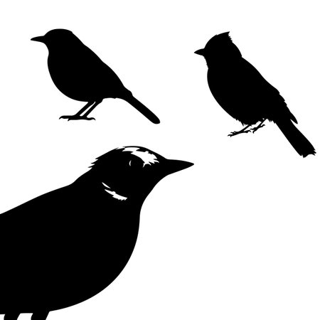 差別化ポイントの発見と商品開発への落とし込み